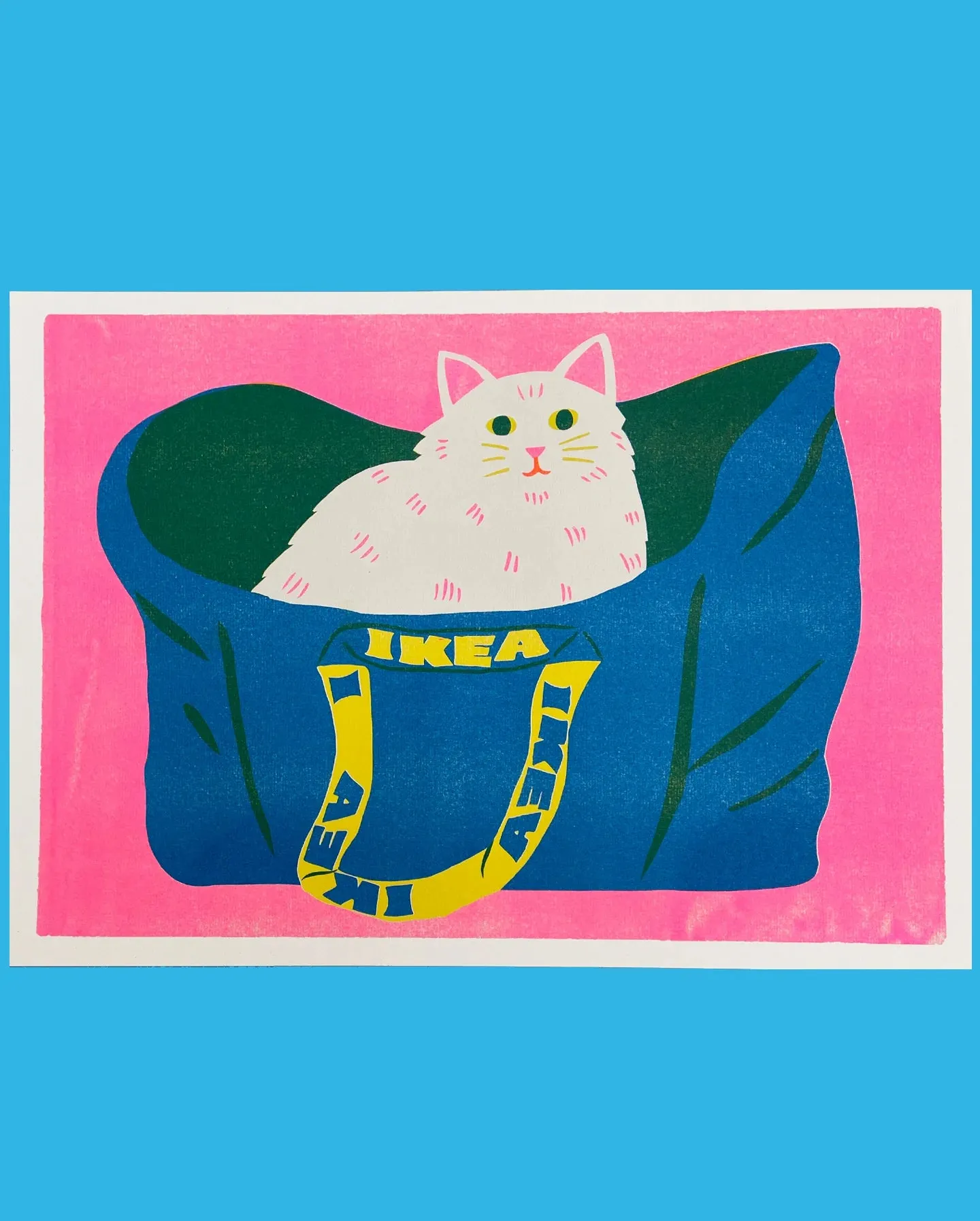 Ikea Bag Cat Print