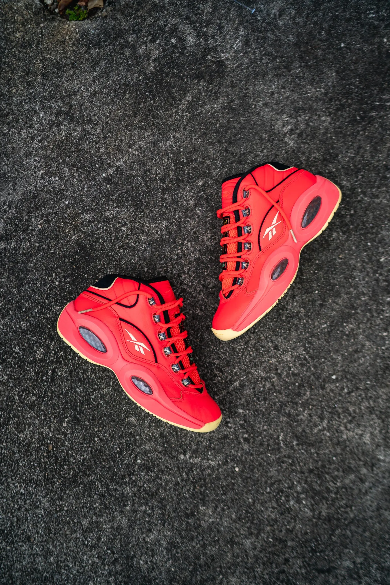 Reebok Hot Ones Question Mid (Last Dab)